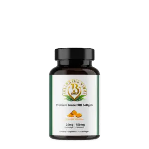 Premium Grade CBD Softgels (25mg CBD/softgel) - curcumin formula