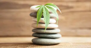 yoga and CBD balance