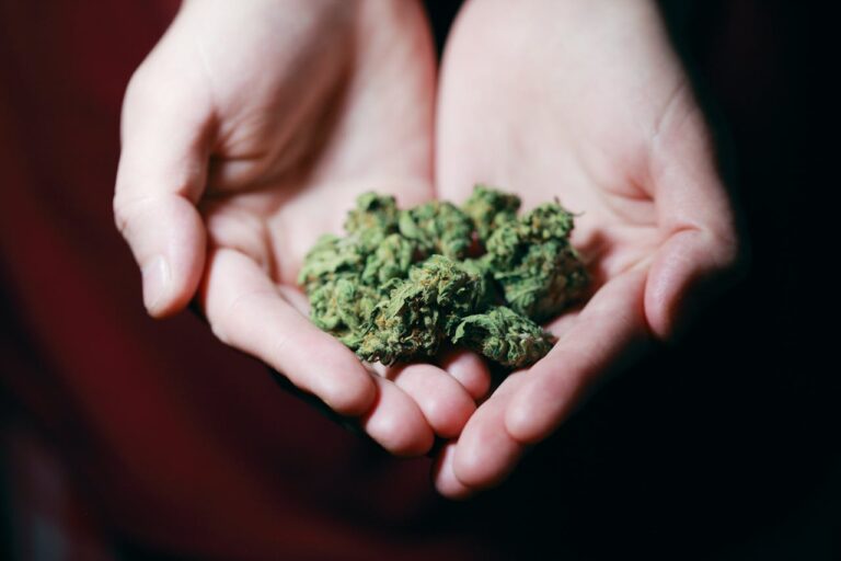 Difference between CBD vs THC
