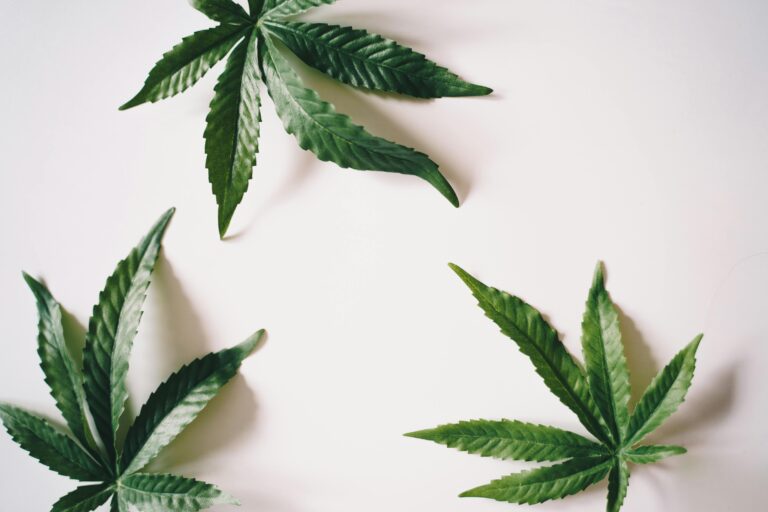 El mejor CBD para tu estilo de vida