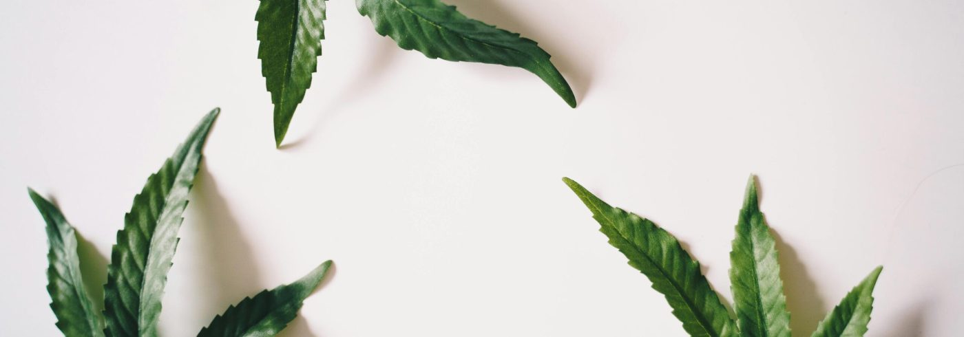 El mejor CBD para tu estilo de vida